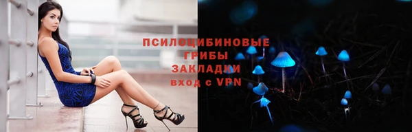 спиды Алексеевка